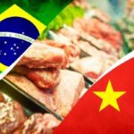 Exportação de carne bovina para china pode sofrer um vazio