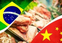 Exportações de carne para a China podem enfrentar vazio e pressionar arroba no Brasil Exportação de carne bovina para china pode sofrer um vazio