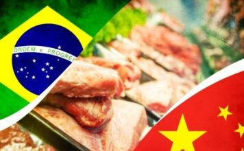 Exportações de carne para a China podem enfrentar vazio e pressionar arroba no Brasil Exportação de carne bovina para china pode sofrer um vazio
