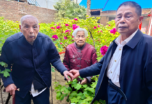 O “dote vivo” da avó de 102 anos de Heze: algumas mudas de peônia no passado, agora cem plantas perfumam o pátio