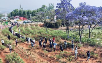 Um lago de águas cristalinas que reflete o mundo: mídias internacionais visitam o Lago Fuxian