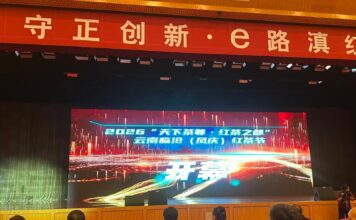 Festival do Chá Preto de Lincang (Fengqing) 2026 é inaugurado: mostrando ao mundo o “renascimento do Dianhong”