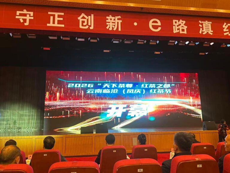 Festival do Chá Preto de Lincang (Fengqing) 2026 é inaugurado: mostrando ao mundo o “renascimento do Dianhong”