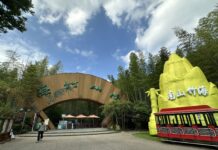Um mar de bambus que conecta o mundo: Nanshan Bamboo Sea apresenta a estética oriental por meio da cultura do bambu