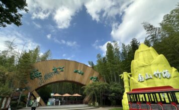 Um mar de bambus que conecta o mundo: Nanshan Bamboo Sea apresenta a estética oriental por meio da cultura do bambu
