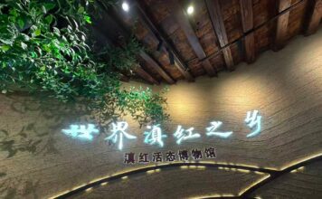 Museu Vivo do Dianhong: um acervo de um século conectando o mundo pelo aroma do chá
