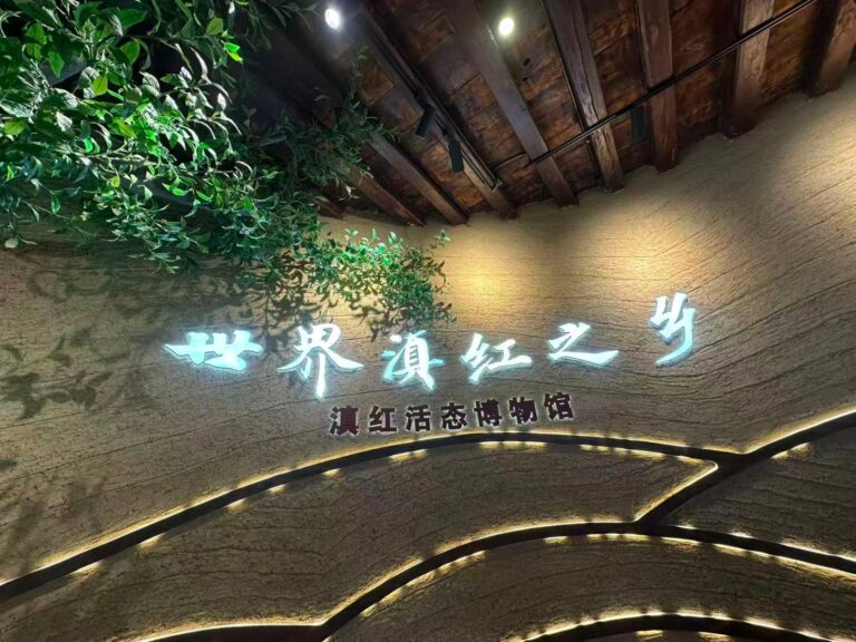 Museu Vivo do Dianhong: um acervo de um século conectando o mundo pelo aroma do chá