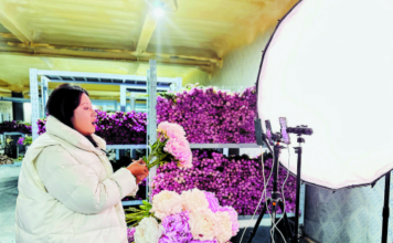 Cidade de Heze, província de Shandong: Produtos culturais criativos da peônia conquistam o mercado