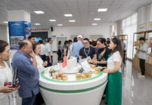 Visitando Tongjiang: a transformação e modernização da agricultura característica das montanhas Qinba