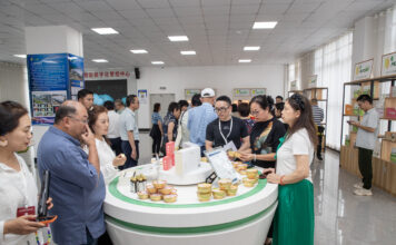 Visitando Tongjiang: a transformação e modernização da agricultura característica das montanhas Qinba