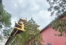 Ecos da Civilização e Cânticos do Planalto: a narrativa milenar do encontro entre as civilizações han e tibetana no Templo Hongjue