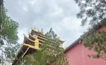 Ecos da Civilização e Cânticos do Planalto: a narrativa milenar do encontro entre as civilizações han e tibetana no Templo Hongjue