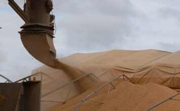 China amplia compras de soja brasileira e reduz participação dos Estados Unidos