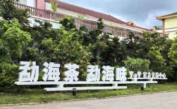O aroma do chá na floresta tropical: a modernização do principal condado produtor de chá Pu’er da China