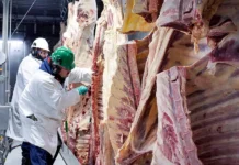 Brasil esgota cota anual de exportação de carne bovina para a China em meio ao fortalecimento da parceria comercial entre os dois países