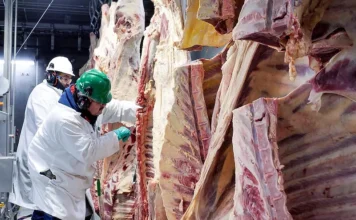 Brasil esgota cota anual de exportação de carne bovina para a China em meio ao fortalecimento da parceria comercial entre os dois países