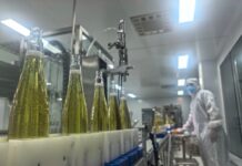 Distrito de Mudan, Heze, Shandong: A “economia dos três setores” de uma flor de peônia