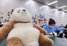 Distrito de Mudan, Heze, Shandong: A viagem internacional de um “panda”