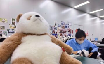 Distrito de Mudan, Heze, Shandong: A viagem internacional de um “panda”