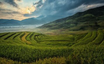 Novo plano agrícola da China amplia oportunidades para o agro brasileiro