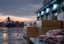 Após esgotar cota chinesa, exportação de carne bovina do Brasil cai 26%: quem absorverá o excedente? Ilustração gerada por IA mostra caixas de carne bovina embaladas em terminal portuário, com navio cargueiro ao fundo.