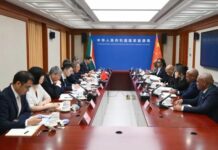 China e África do Sul ampliam cooperação para modernizar infraestrutura energética