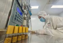 Distrito de Mudan, Heze – Inovação científico-tecnológica impulsiona nova floração da indústria da peónia